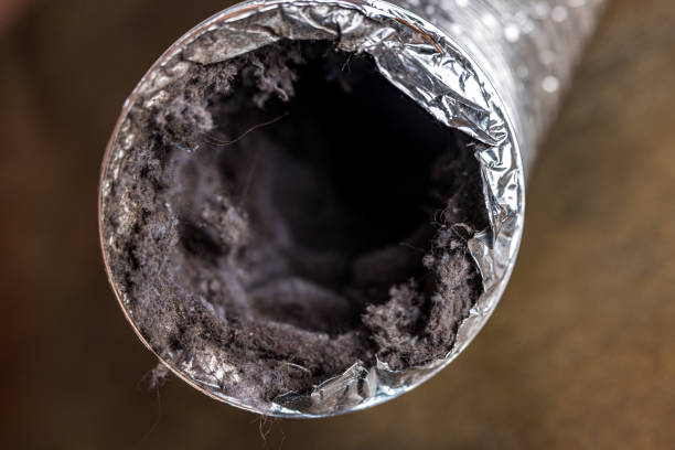 Best HVAC Duct Inspection Services  in Robbins, NC